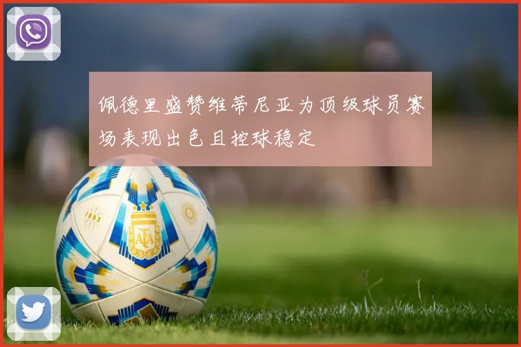 佩德里盛赞维蒂尼亚为顶级球员赛场表现出色且控球稳定