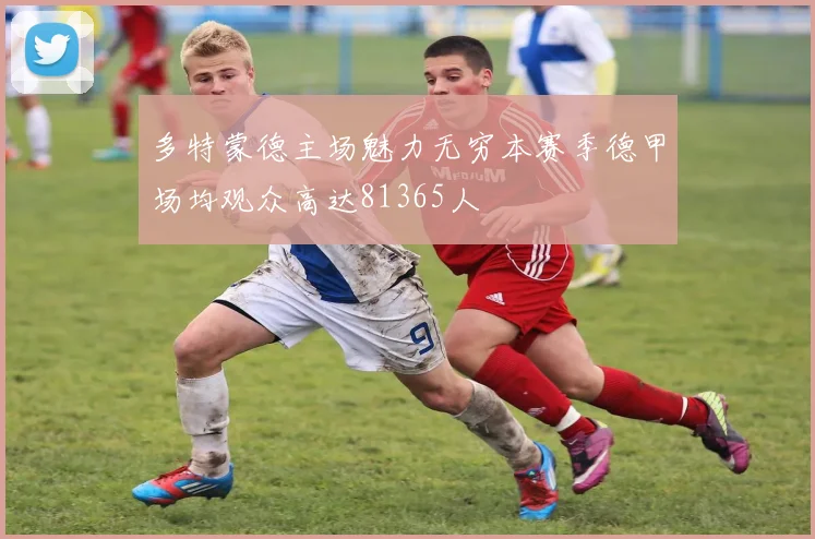 多特蒙德主场魅力无穷本赛季德甲场均观众高达81365人